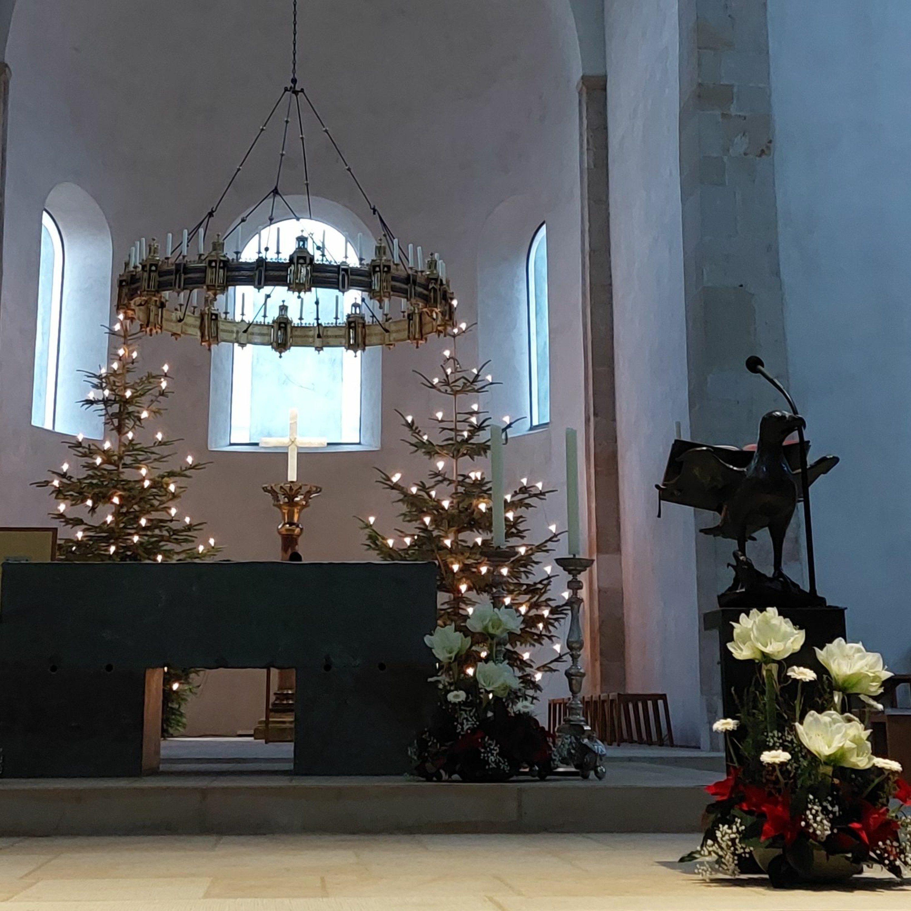Predigten im Hildesheimer Dom