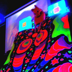 The way juju feels between owners 2009