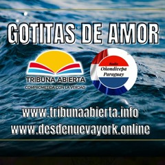 03 03 2024 - GOTITAS DE AMOR- Programa Completo