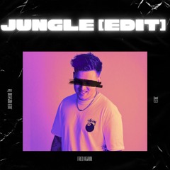 Jungle [KJ Dickson Remix] (Techno)