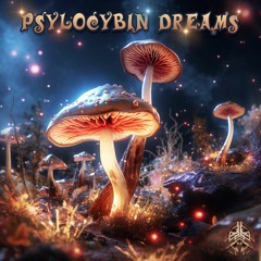 Cyborgpunk & AstriDakini - Robot love -  V.A. Psylocybin dreams - Multidimensional Music