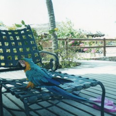 Existencia (feat. Peivol)