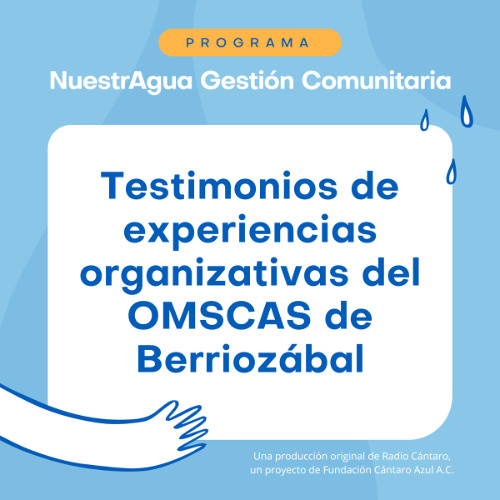 Experiencias organizativas del OMSCAS