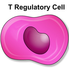 New Antibody Removes Tregs to Boost Immune Response Against Cancer
