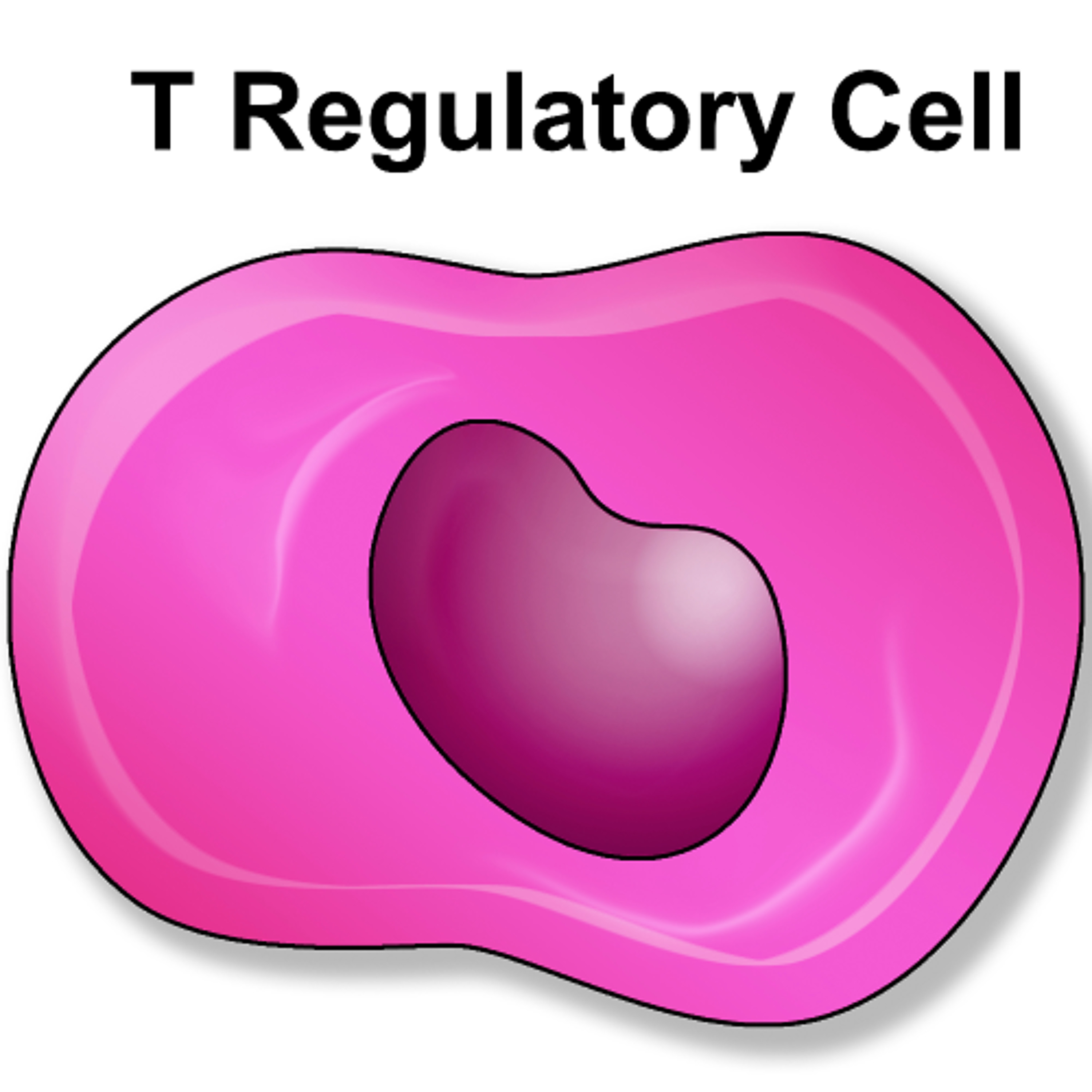 New Antibody Removes Tregs to Boost Immune Response Against Cancer