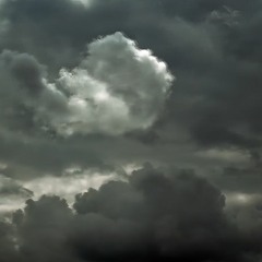 Rain From Heaven (The Sisterhood-cover)