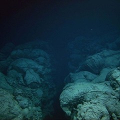 Submergence [Into the Midnight Zone]