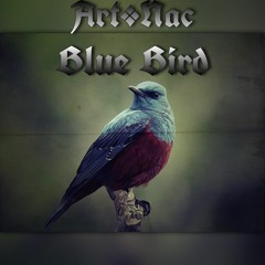 Blue Bird (live performance)