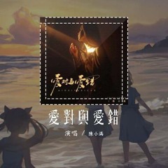 陈小满 - 爱对与爱错「爱对了人 就像 被一束光照亮」【動態歌詞/Lyrics Video】#陈小满 #爱对与爱错 #動態歌詞