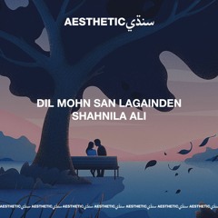 Dil Mohn San Lagainden - Shahnila Ali - Aesthetic Sindhi