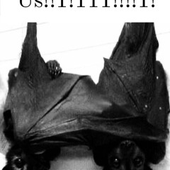 bling (p. theartofdying)