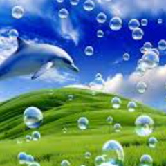 ドゥット ルド ルド