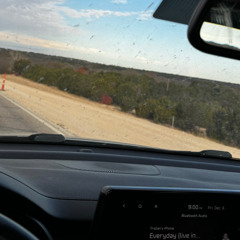 Everyday (live in the moment)