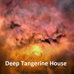 Deep Tangerine House