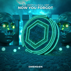 Jay Hertz & Ball VRP - Now You Forgot | EVOGENES Flip