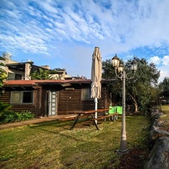 sixties festival 47 time of diparture