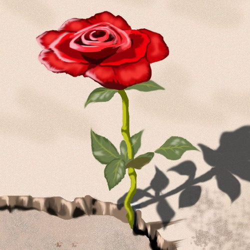 Stream Concrete Rose part 2 (Official Audio) by VloneJay Listen