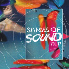 Joe Morris l Shades Of Sound Vol.17