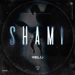 RELU - SHAMI