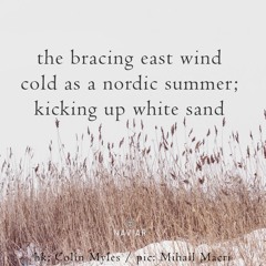 Wind with Braces [naviarhaiku457 - the bracing east wind]