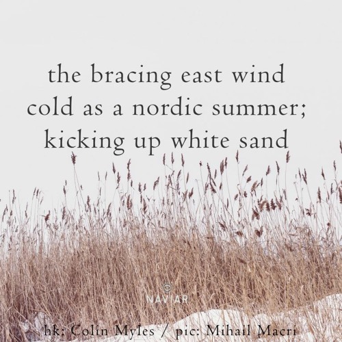 Wind with Braces [naviarhaiku457 - the bracing east wind]