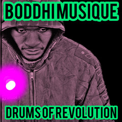 Drums Of Revolution