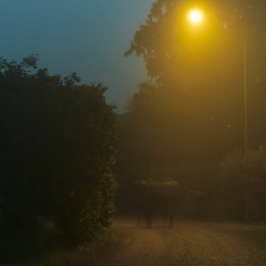 Sparky Deathcap  - September (instrumental) the Dreamy Version