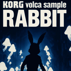 RABBIT - korg volca sample jam