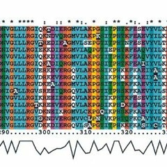EFTU ECOLI  / leuf [free download]