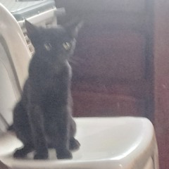 ouça se quiser ganhar aura :p