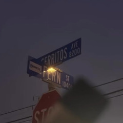 WEST 2 DOUBLE S Ft:YGDBAMBEEZY