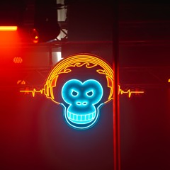 DER BASSWALKER // AFFENKÄFIG KARNEVALS RAVE 2024 DJ SET by TOMMY LIBERA