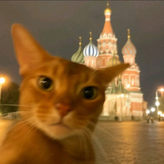 Mitze Katze feat. MisterBlister