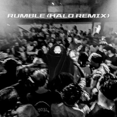 Skrillex,Fred Again..,Flowdan - Rumble (Halo Extended Remix)