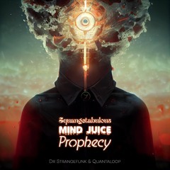 Quantaloop & Dr.Strangefunk - Mind Juice