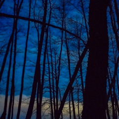 Tree Lurking
