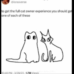 to get the full cat owner experience