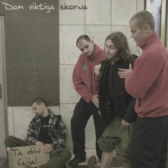 Dom Viktiga Skorna - Vill Bara Skejta