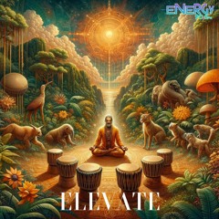 Elevate Energy FM Mix