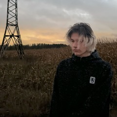 Дружба*