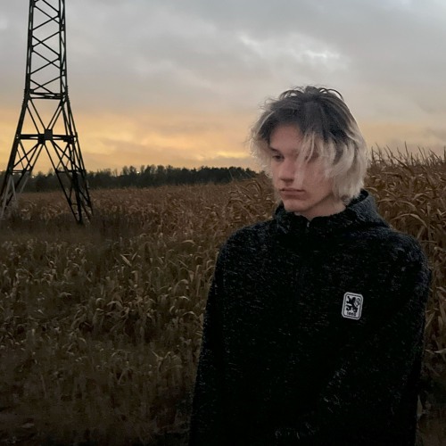 Дружба*