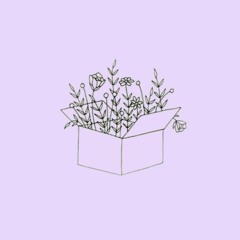 lavender