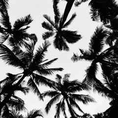 279tyler - Like Pac! [prod. Tone] DJ Ant EXCLUSIVE