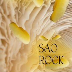 Sammy Selecta @Sao Rock 12 - 05 - 2023