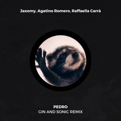 Jaxomy, Agatino Romero, Raffaella Carrà - Pedro (Gin and Sonic Remix) *filtered*