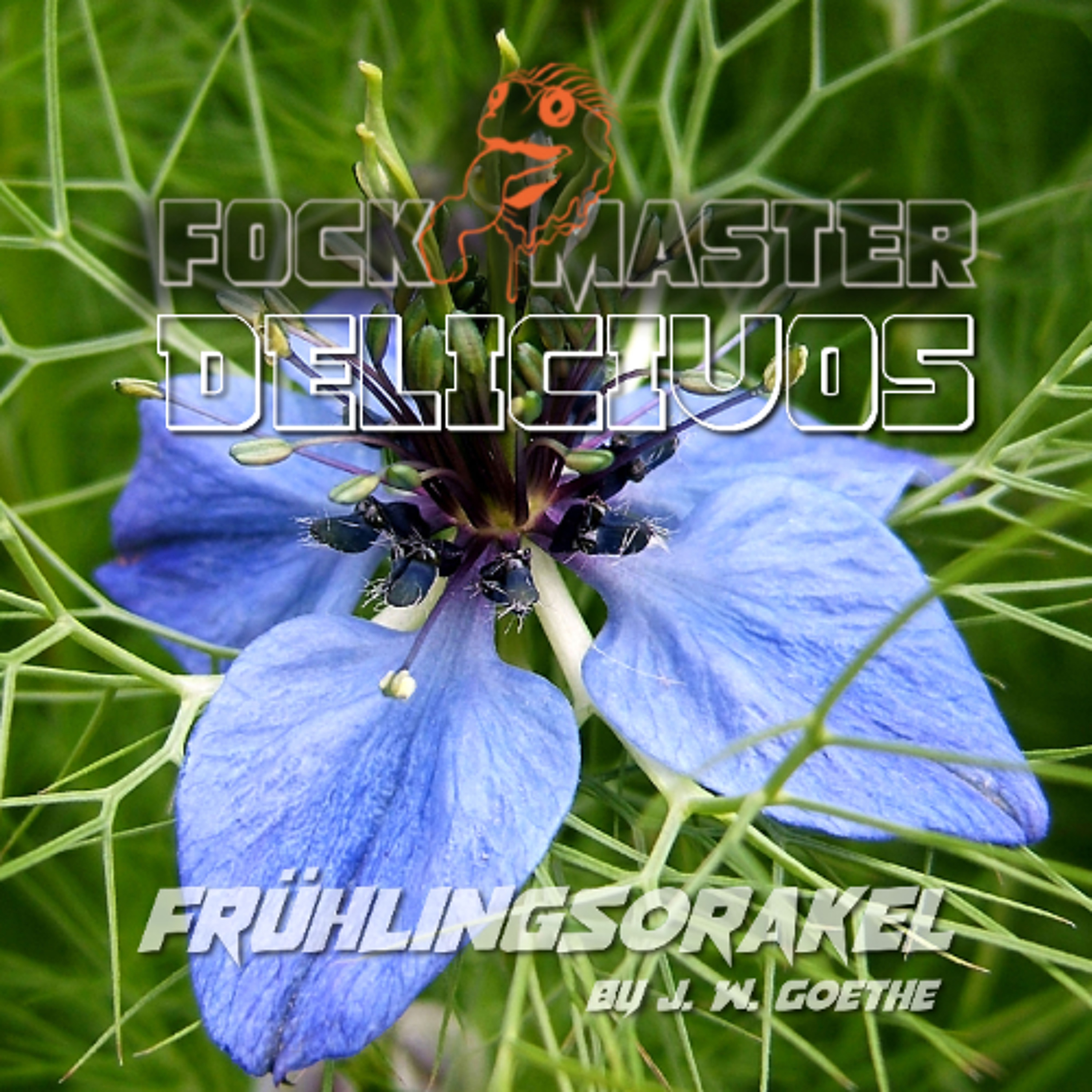 Neues vom Leckfrosch