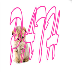 che + osamason + slayr type beat "path"