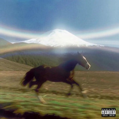 AMER (cette année a été amer)