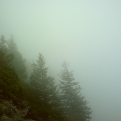 toxaway2