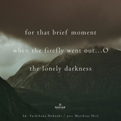 For That Brief Moment (naviarhaiku390) - Adrian Lane